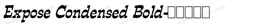 Expose Condensed Bold字体转换
